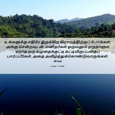 Picture 06 - மாற்கு 11:2 TAMIRV - உங்களுக்கு எதிரே - Bible Verse Picture
