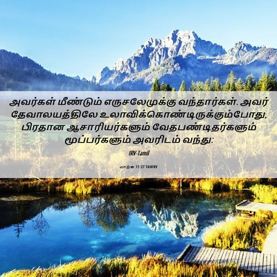 Picture 06 - மாற்கு 11:27 TAMIRV - அவர்கள் மீண்டும் - Bible Verse Picture