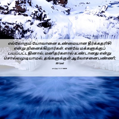 Picture 06 - மாற்கு 11:32 TAMIRV - எல்லோரும் யோவானை - Bible Verse Picture