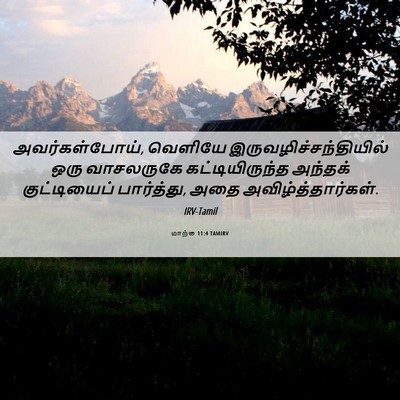 Picture 06 - மாற்கு 11:4 TAMIRV - அவர்கள்போய், - Bible Verse Picture