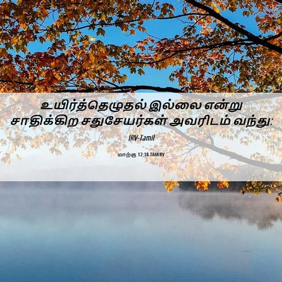 Picture 06 - மாற்கு 12:18 TAMIRV - உயிர்த்தெழுதல் - Bible Verse Picture