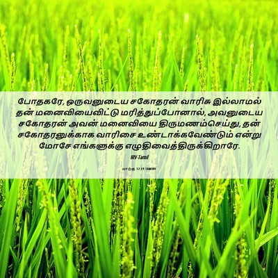 Picture 06 - மாற்கு 12:19 TAMIRV - போதகரே, ஒருவனுடைய - Bible Verse Picture