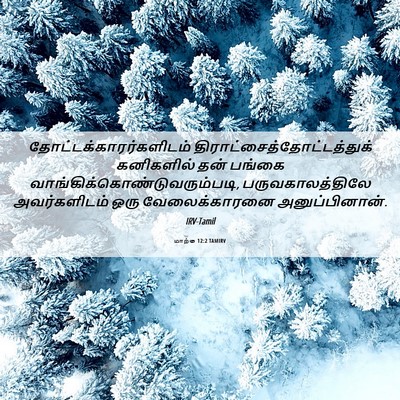 Picture 06 - மாற்கு 12:2 TAMIRV -  - Bible Verse Picture