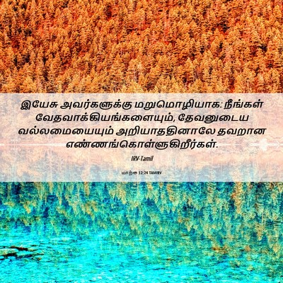 Picture 06 - மாற்கு 12:24 TAMIRV - இயேசு அவர்களுக்கு - Bible Verse Picture