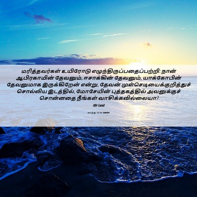 Picture 06 - மாற்கு 12:26 TAMIRV - மரித்தவர்கள் - Bible Verse Picture