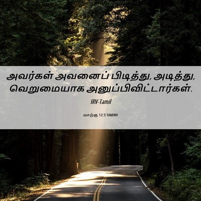 Picture 06 - மாற்கு 12:3 TAMIRV - அவர்கள் அவனைப் - Bible Verse Picture