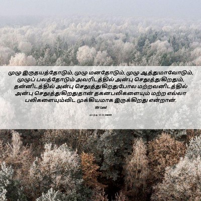 Picture 06 - மாற்கு 12:33 TAMIRV - முழு - Bible Verse Picture