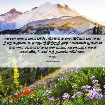 Picture 06 - மாற்கு 12:34 TAMIRV - அவன் ஞானமாக பதில் - Bible Verse Picture