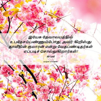 Picture 06 - மாற்கு 12:35 TAMIRV - இயேசு - Bible Verse Picture
