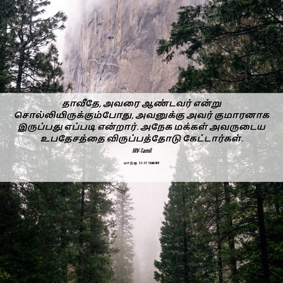 Picture 06 - மாற்கு 12:37 TAMIRV - தாவீதே, அவரை - Bible Verse Picture