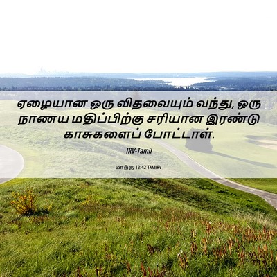 Picture 06 - மாற்கு 12:42 TAMIRV - ஏழையான ஒரு - Bible Verse Picture