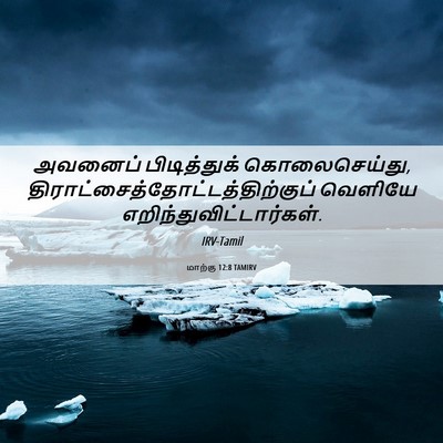 Picture 06 - மாற்கு 12:8 TAMIRV - அவனைப் பிடித்துக் - Bible Verse Picture