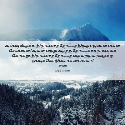 Picture 06 - மாற்கு 12:9 TAMIRV - அப்படியிருக்க, - Bible Verse Picture