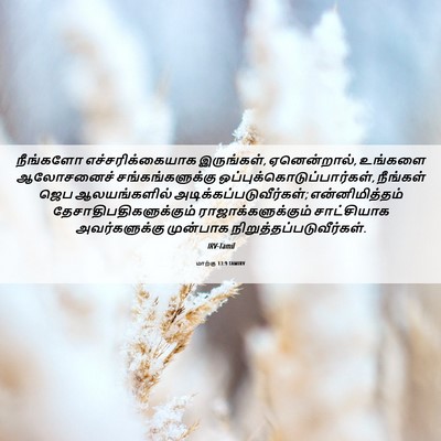 Picture 06 - மாற்கு 13:9 TAMIRV - நீங்களோ - Bible Verse Picture