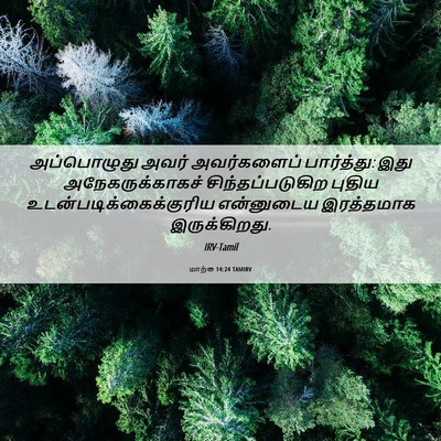 Picture 06 - மாற்கு 14:24 TAMIRV - அப்பொழுது அவர் - Bible Verse Picture