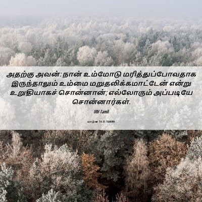 Picture 06 - மாற்கு 14:31 TAMIRV - அதற்கு அவன்: நான் - Bible Verse Picture