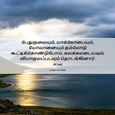 Picture 06 - மாற்கு 14:33 TAMIRV - பேதுருவையும், - Bible Verse Picture