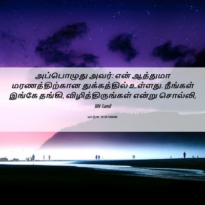 Picture 06 - மாற்கு 14:34 TAMIRV - அப்பொழுது அவர்: - Bible Verse Picture