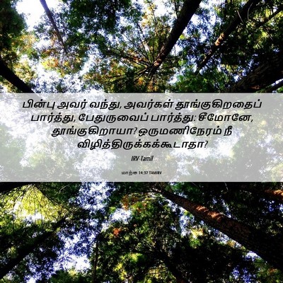 Picture 06 - மாற்கு 14:37 TAMIRV - பின்பு அவர் வந்து, - Bible Verse Picture
