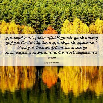 Picture 06 - மாற்கு 14:44 TAMIRV - அவரைக் - Bible Verse Picture