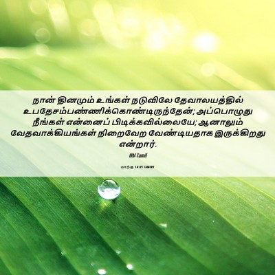 Picture 06 - மாற்கு 14:49 TAMIRV - நான் தினமும் - Bible Verse Picture