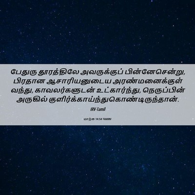 Picture 06 - மாற்கு 14:54 TAMIRV - பேதுரு தூரத்திலே - Bible Verse Picture