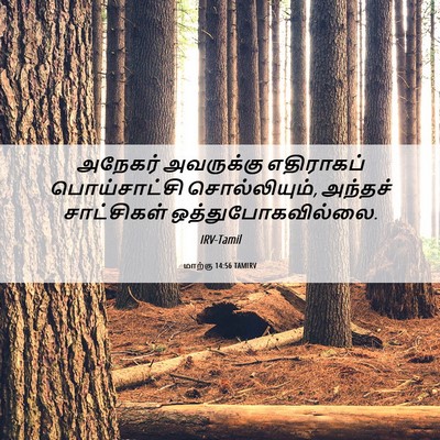 Picture 06 - மாற்கு 14:56 TAMIRV - அநேகர் அவருக்கு - Bible Verse Picture