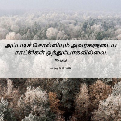 Picture 06 - மாற்கு 14:59 TAMIRV - அப்படிச் - Bible Verse Picture