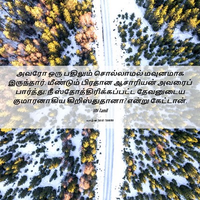 Picture 06 - மாற்கு 14:61 TAMIRV - அவரோ ஒரு பதிலும் - Bible Verse Picture