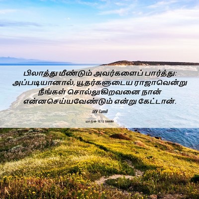 Picture 06 - மாற்கு 15:12 TAMIRV - பிலாத்து மீண்டும் - Bible Verse Picture