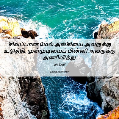 Picture 06 - மாற்கு 15:17 TAMIRV - சிவப்பான மேல் - Bible Verse Picture