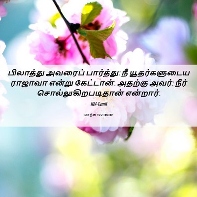 Picture 06 - மாற்கு 15:2 TAMIRV - பிலாத்து அவரைப் - Bible Verse Picture