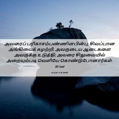 Picture 06 - மாற்கு 15:20 TAMIRV - அவரைப் - Bible Verse Picture
