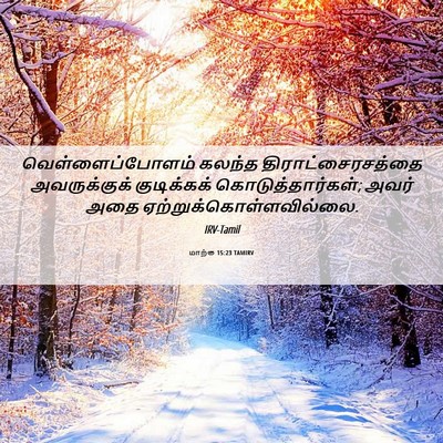 Picture 06 - மாற்கு 15:23 TAMIRV - வெள்ளைப்போளம் - Bible Verse Picture