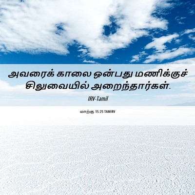 Picture 06 - மாற்கு 15:25 TAMIRV - அவரைக் காலை - Bible Verse Picture