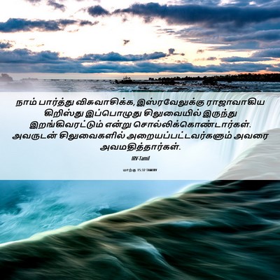 Picture 06 - மாற்கு 15:32 TAMIRV - நாம் பார்த்து - Bible Verse Picture