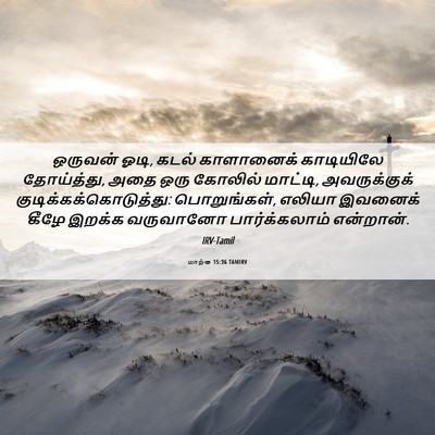 Picture 06 - மாற்கு 15:36 TAMIRV - ஒருவன் ஓடி, கடல் - Bible Verse Picture