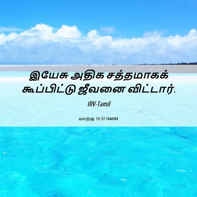 Picture 06 - மாற்கு 15:37 TAMIRV - இயேசு அதிக - Bible Verse Picture