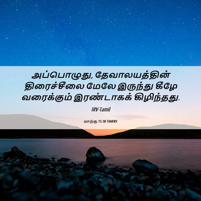 Picture 06 - மாற்கு 15:38 TAMIRV - அப்பொழுது, - Bible Verse Picture