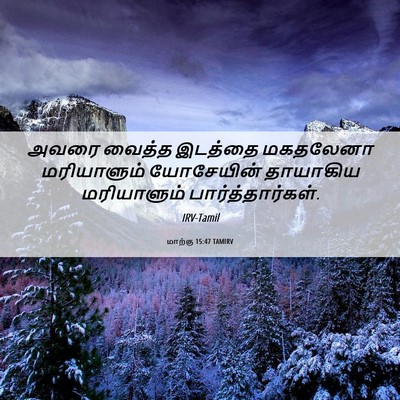 Picture 06 - மாற்கு 15:47 TAMIRV - அவரை வைத்த இடத்தை - Bible Verse Picture