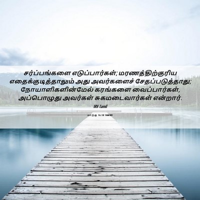 Picture 06 - மாற்கு 16:18 TAMIRV - சர்ப்பங்களை - Bible Verse Picture