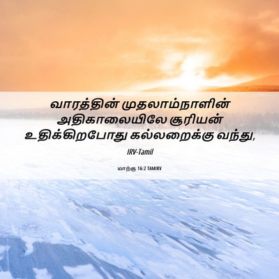 Picture 06 - மாற்கு 16:2 TAMIRV - வாரத்தின் - Bible Verse Picture