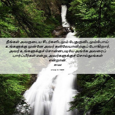 Picture 06 - மாற்கு 16:7 TAMIRV - நீங்கள் அவருடைய - Bible Verse Picture
