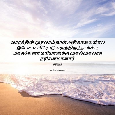 Picture 06 - மாற்கு 16:9 TAMIRV - வாரத்தின் முதலாம் - Bible Verse Picture
