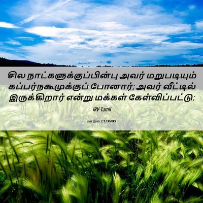 Picture 06 - மாற்கு 2:1 TAMIRV - சில - Bible Verse Picture