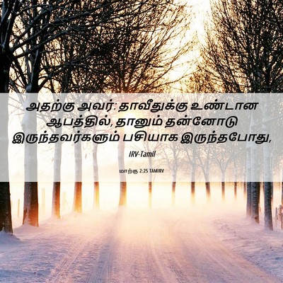 Picture 06 - மாற்கு 2:25 TAMIRV - அதற்கு அவர்: - Bible Verse Picture
