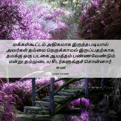 Picture 06 - மாற்கு 3:10 TAMIRV - மக்கள்கூட்டம் - Bible Verse Picture