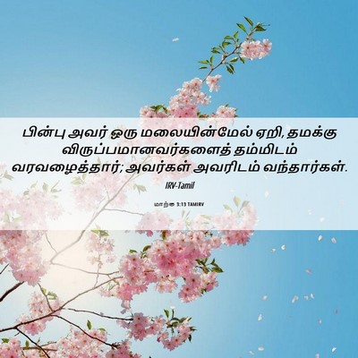 Picture 06 - மாற்கு 3:13 TAMIRV - பின்பு அவர் ஒரு - Bible Verse Picture