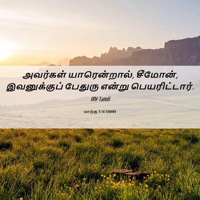 Picture 06 - மாற்கு 3:16 TAMIRV - அவர்கள் - Bible Verse Picture