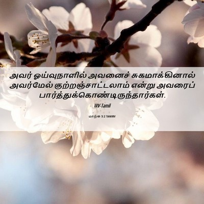 Picture 06 - மாற்கு 3:2 TAMIRV - அவர் ஓய்வுநாளில் - Bible Verse Picture